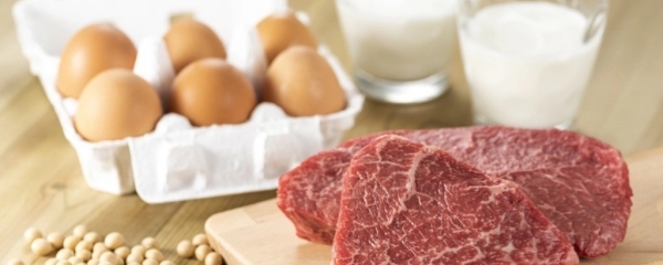 タンパク質を含む食品の赤身肉や卵や大豆